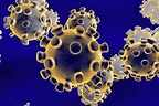 Virus